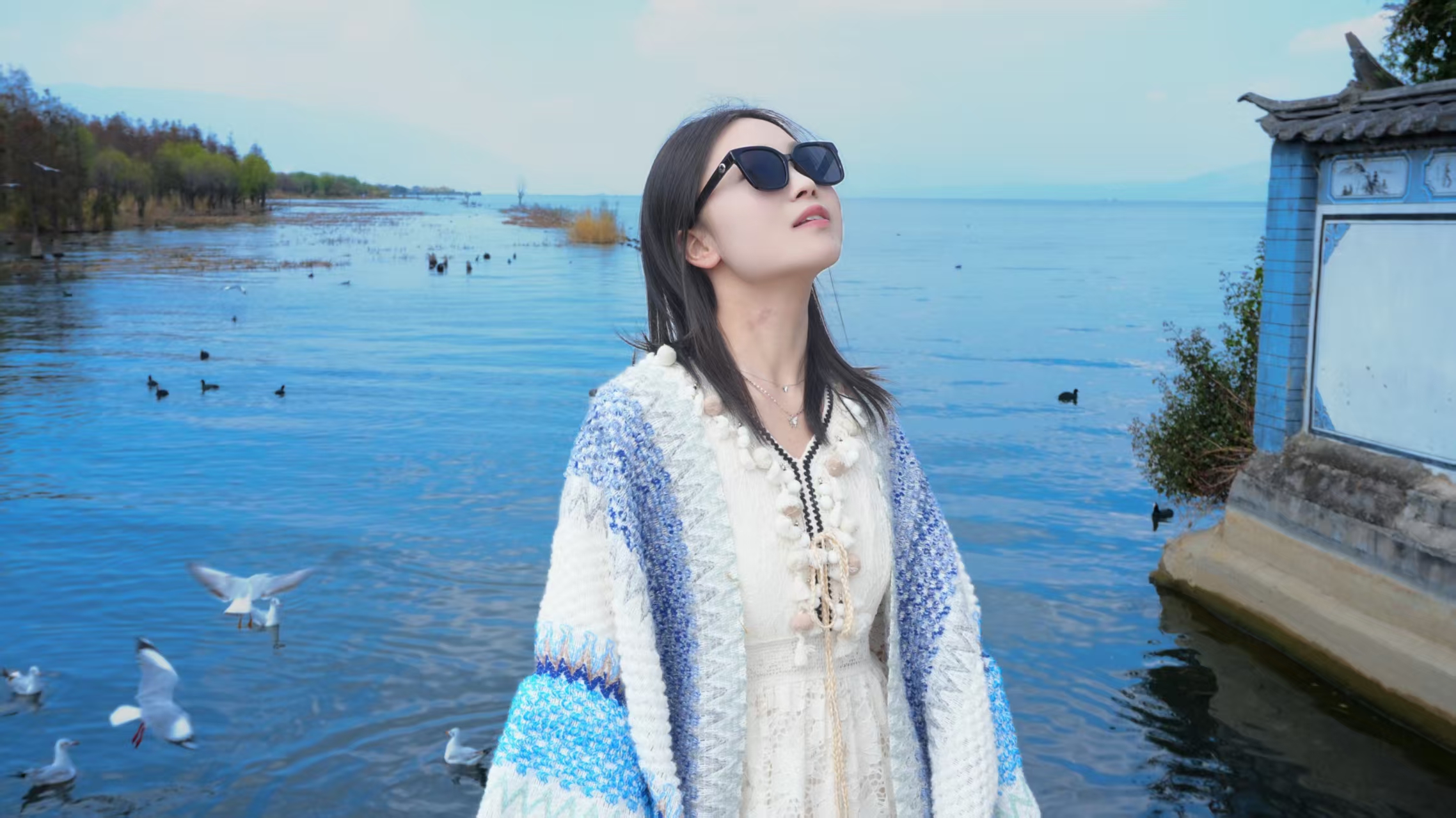 洱海红嘴鸥